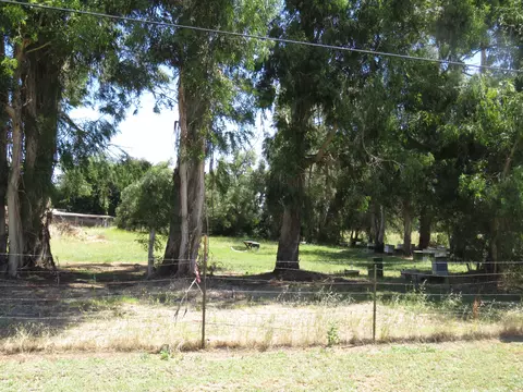 19375 Spring Gulch Rd, Anderson, CA 96007 photo 4