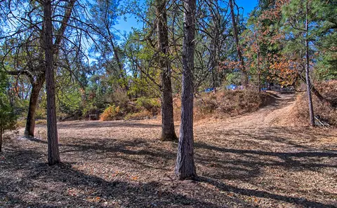 7161 Rector Creek Rd, Igo, CA 96047 photo 45