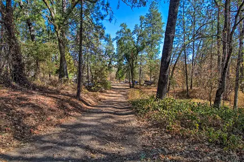 7161 Rector Creek Rd, Igo, CA 96047 photo 41