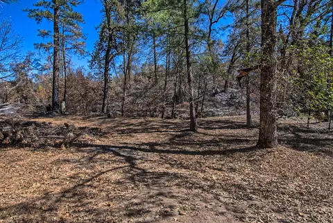 7161 Rector Creek Rd, Igo, CA 96047 photo 44