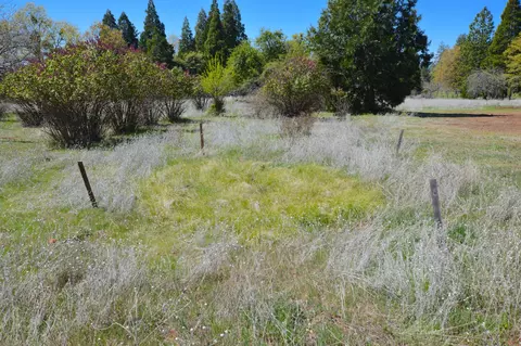 21726 Graham Rd, Manton, CA 96059 photo 15