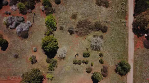 21726 Graham Rd, Manton, CA 96059 photo 27