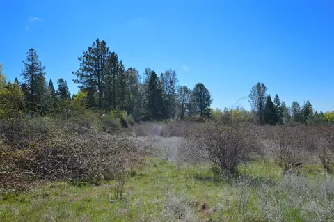 21726 Graham Rd, Manton, CA 96059 photo 13
