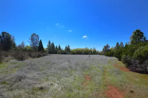 21726 Graham Rd, Manton, CA 96059 photo 8