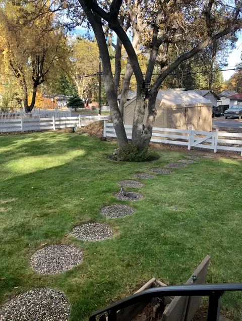 20372 Hudson St, Burney, CA 96013 photo 23