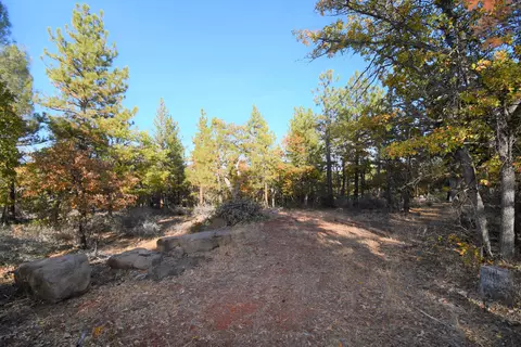 43067 Shoshoni Loop, Fall River Mills, CA 96028 photo 37
