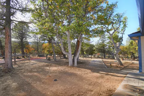 43067 Shoshoni Loop, Fall River Mills, CA 96028 photo 31