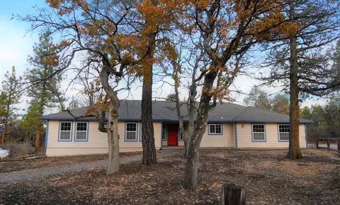 43067 Shoshoni Loop, Fall River Mills, CA 96028 photo 2