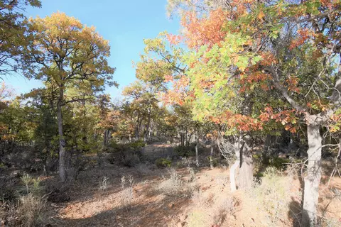 43067 Shoshoni Loop, Fall River Mills, CA 96028 photo 38