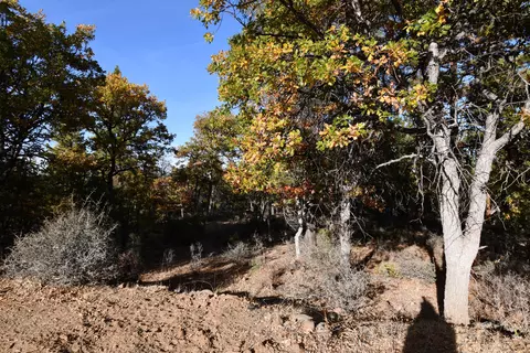 43067 Shoshoni Loop, Fall River Mills, CA 96028 photo 40