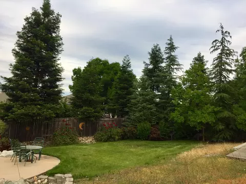 1894 Harvard Way, Redding, CA 96003 photo 38