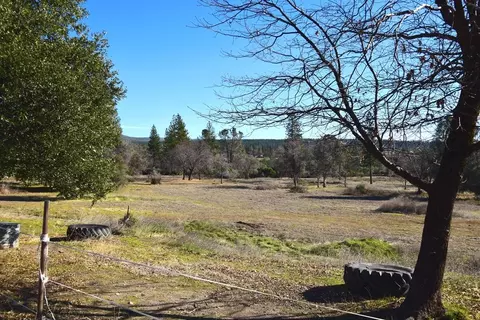 32319 Battle View Dr, Manton, CA 96059 photo 14
