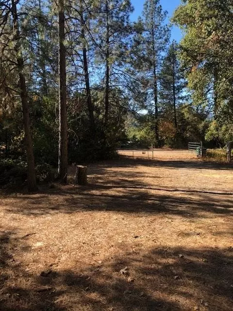 19141 Kamloop Rd, Lakehead, CA 96051 photo 24
