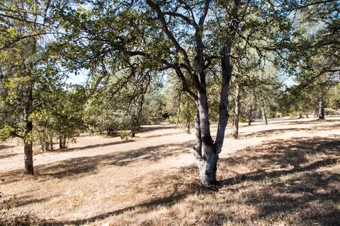 8056 Gold Run Rd, Redding, CA 96001 photo 39