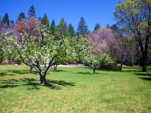 31093 Terry Mill Rd, Round Mountain, CA 96084 photo 34