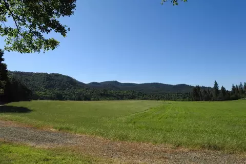 31093 Terry Mill Rd, Round Mountain, CA 96084 photo 41