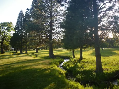31093 Terry Mill Rd, Round Mountain, CA 96084 photo 4