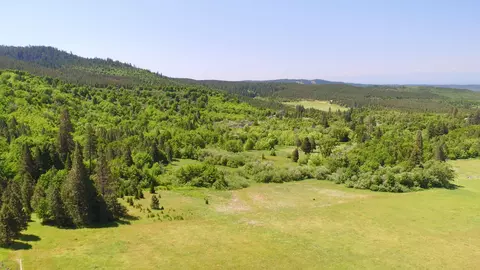 31093 Terry Mill Rd, Round Mountain, CA 96084 photo 46