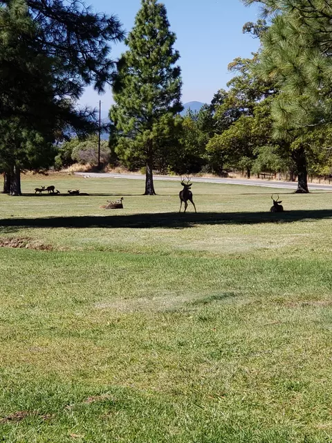 31093 Terry Mill Rd, Round Mountain, CA 96084 photo 38