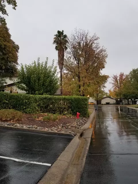 739 Flower Ash Ln, Redding, CA 96003 photo 24
