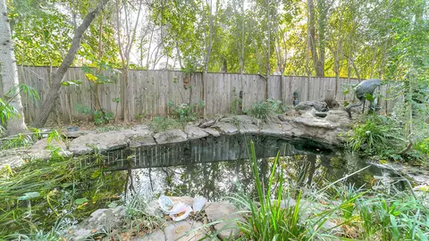4260 Vista Oaks Ct, Redding, CA 96002 photo 37