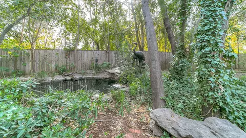 4260 Vista Oaks Ct, Redding, CA 96002 photo 104