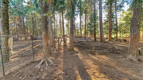 34531 Twin Cedars Rd, Shingletown, CA 96088 photo 18