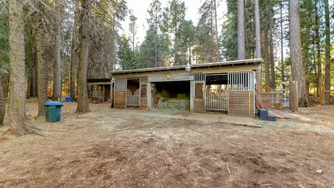 34531 Twin Cedars Rd, Shingletown, CA 96088 photo 14