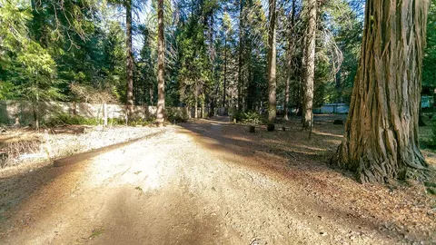 34531 Twin Cedars Rd, Shingletown, CA 96088 photo 2