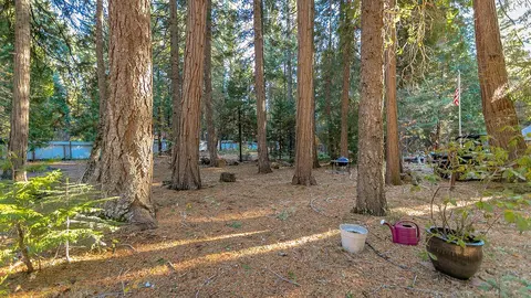 34531 Twin Cedars Rd, Shingletown, CA 96088 photo 17