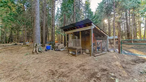 34531 Twin Cedars Rd, Shingletown, CA 96088 photo 16