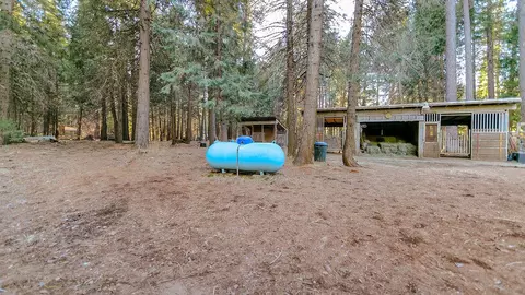 34531 Twin Cedars Rd, Shingletown, CA 96088 photo 12