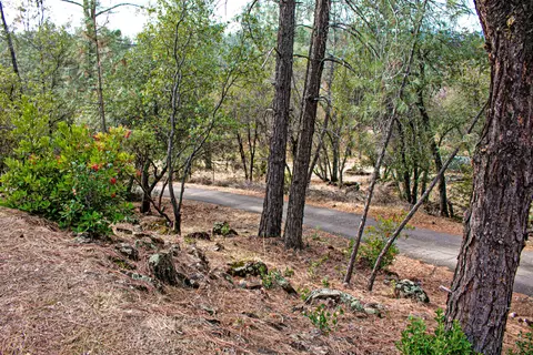 20034 Parocast Rd, Redding, CA 96003 photo 4