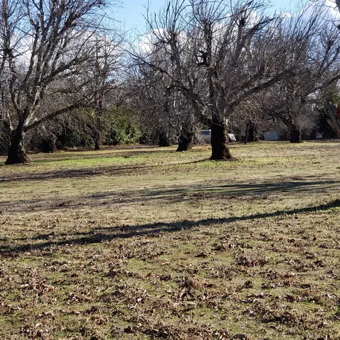 6454 Churn Creek Rd, Redding, CA 96002 photo 10