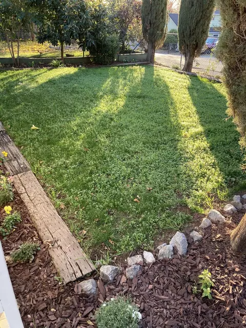 14643 Spring Branch Rd, Redding, CA 96003 photo 8