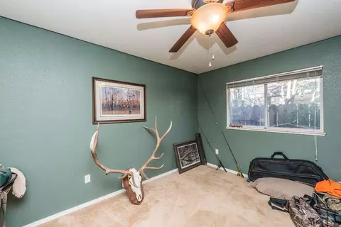 6774 Irving Rd, Redding, CA 96001 photo 29