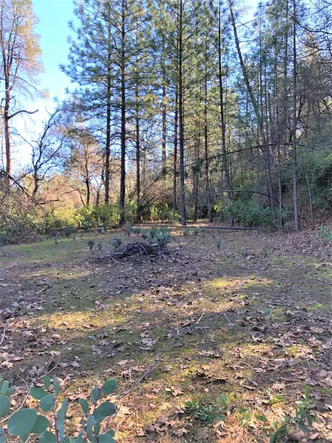 17549 Bobs Mountain Rd, Redding, CA 96003 photo 20