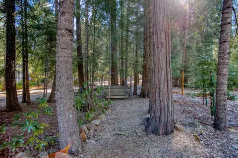 7551 Red Eagle Rd, Shingletown, CA 96088 photo 10