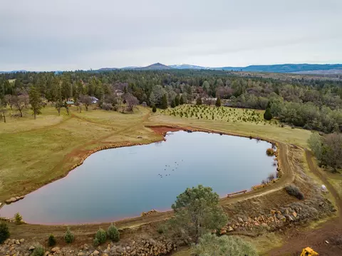21725 Graham Rd, Manton, CA 96059 photo 5