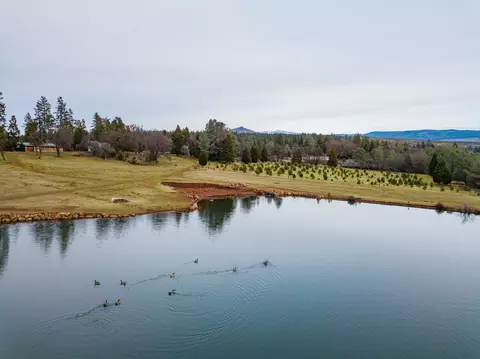 21725 Graham Rd, Manton, CA 96059 photo 1