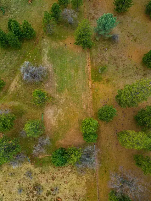 21725 Graham Rd, Manton, CA 96059 photo 11