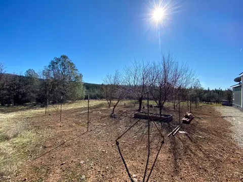 31668 Grindley Ranch Rd, Whitmore, CA 96096 photo 7