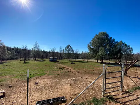 31668 Grindley Ranch Rd, Whitmore, CA 96096 photo 9