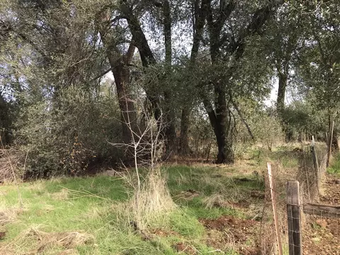 3356 Rancho Rd, Redding, CA 96002 photo 5