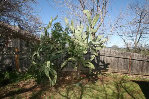 1570 Fig Ave, Redding, CA 96001 photo 36