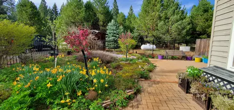 39544 Mcarthur Rd, Fall River Mills, CA 96028 photo 4