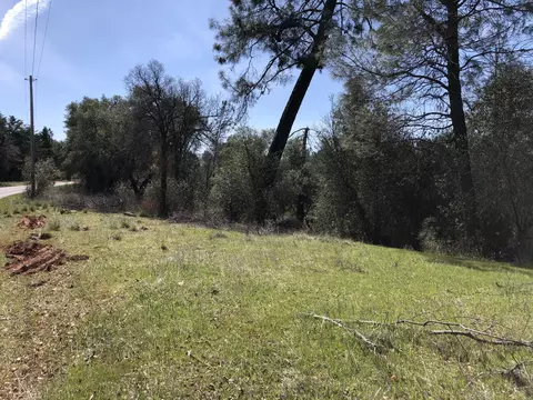 12840 Old Oregon Trl, Redding, CA 96003 photo 6
