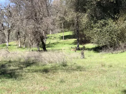 12840 Old Oregon Trl, Redding, CA 96003 photo 5