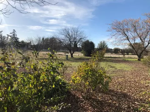 22325 Brent Rd, Red Bluff, CA 96080 photo 25