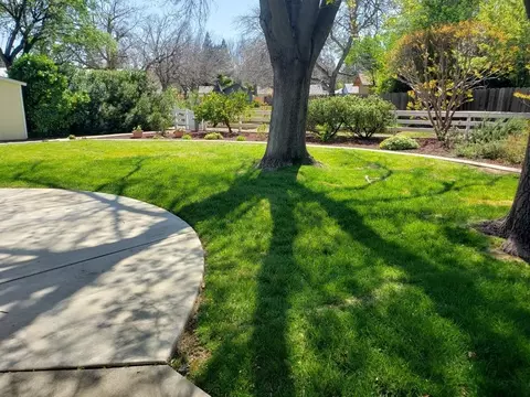 139 Williams Ave, Red Bluff, CA 96080 photo 35